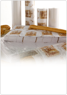 Novedad 1