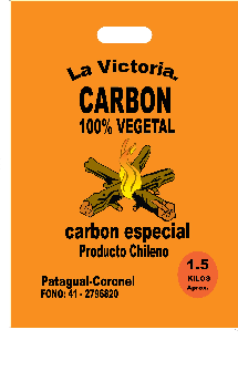 Bolsa para carbón